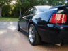 Deepdish Bullitt wheels1 copy.gif