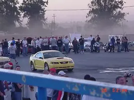 yellowmustang24.webp