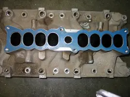 intake before.webp