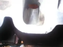 colie 017.webp