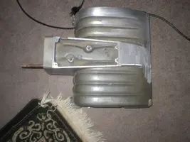 colie 022.webp
