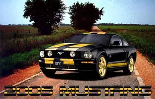 blackyellowshelby.webp