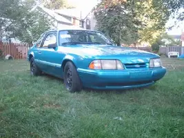 Mustang05-small.webp