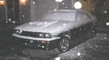 Capri in snow2.webp