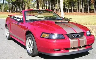 Mustang3.webp