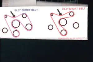 Belt size.webp