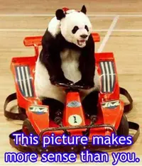 panda.webp