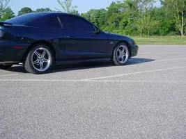 Randon stang pics 012.webp