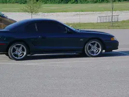 Randon stang pics 011.webp