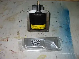 Screamin Demon coil.webp