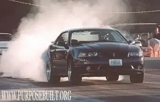 01 Cobra.webp