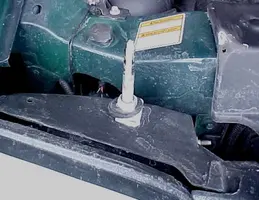 Image1.webp