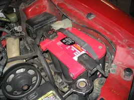optred.webp