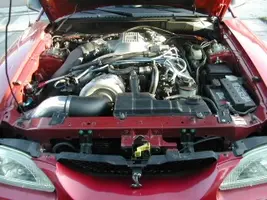DSCN0268.webp