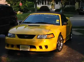 saleen101.webp