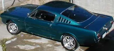 Mustang top side2.webp