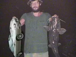 CamaroCatfish.webp