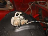 whatisthis[1].webp