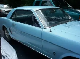 mustang right side 2.webp