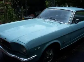 mustang left side.webp
