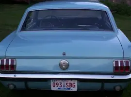 mustang rear.webp