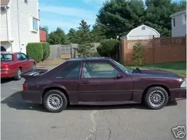 Mustang1.webp