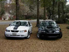 black shine.webp