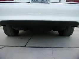 P8200010.webp