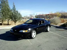 stangpic2.webp