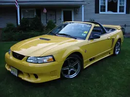 saleen5.webp