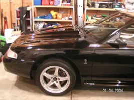 Cobra Hood (30%).webp