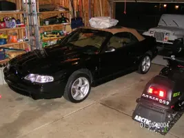 Cobra In Storage 3 (29%).webp