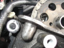 timing cover1.webp