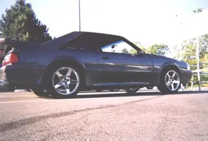 rsStang03.webp