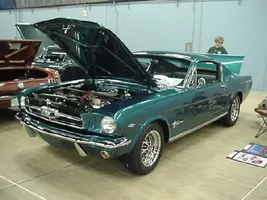 Starbird65small.webp