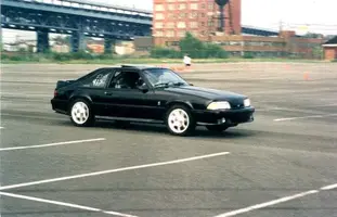 Cobra 1.webp