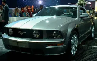 New Stang 1 (low res).webp
