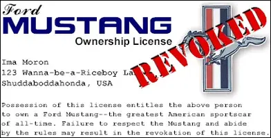 licenserevoked.webp