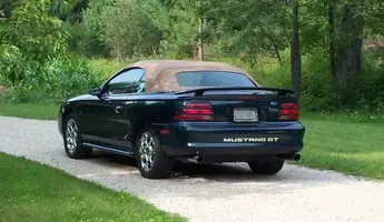 stang-rear-view.webp