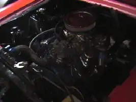 mustang2.webp