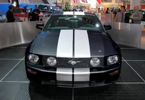 NAIAS15 copy.webp