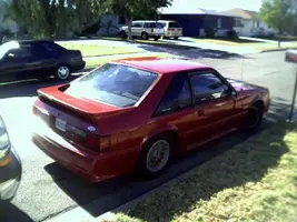 stang_back.webp