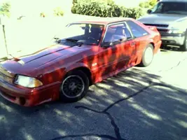stang_front.webp