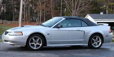 Mustang Profile.webp
