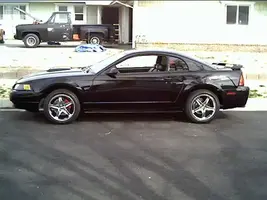 mustang.webp