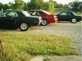 STANGS.webp