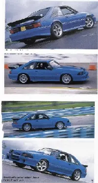 Grabber Blue Fox.webp
