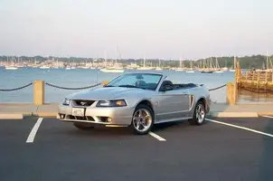 joe_newport.webp