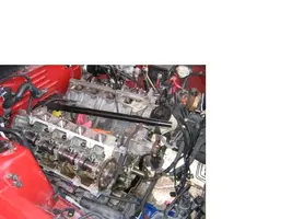 new.webp