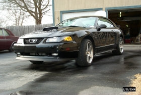 295x18rears1.webp